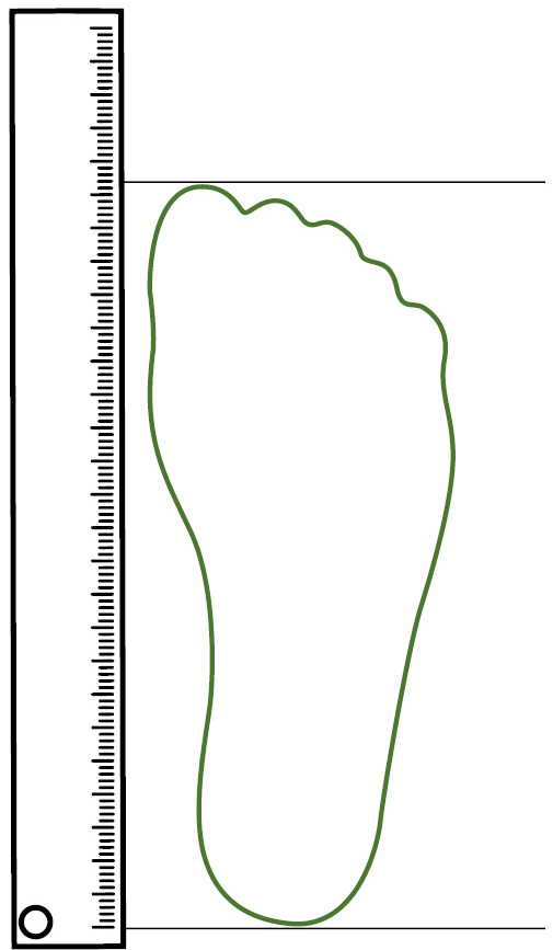 Fußmess-Diagramm